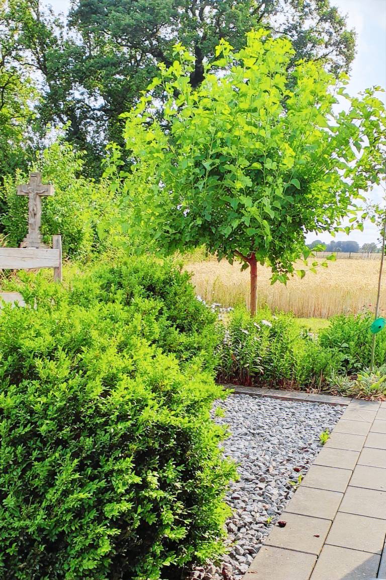 Charming rental apartment with patio | Nature view | Pets are welcome — photo 4