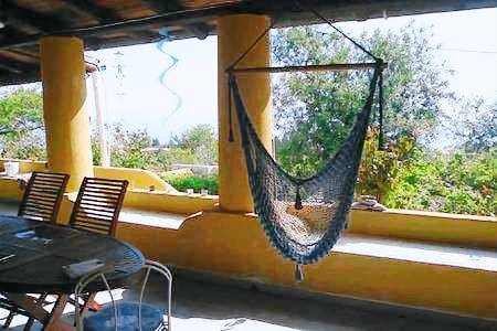 House with barbeque, terrace & garden — photo 4