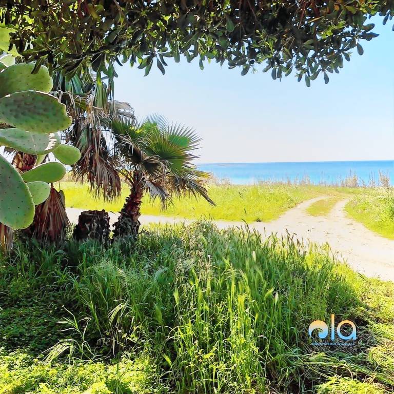Wonderful house with yard | Sea view | Pets are welcome — photo 3