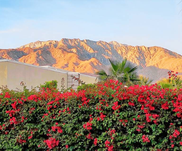 Ferienwohnung Palm Springs