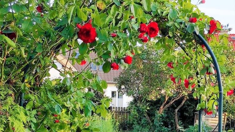 Ferienwohnung Wanzka