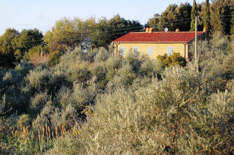 Ferienhaus Castagneto Carducci
