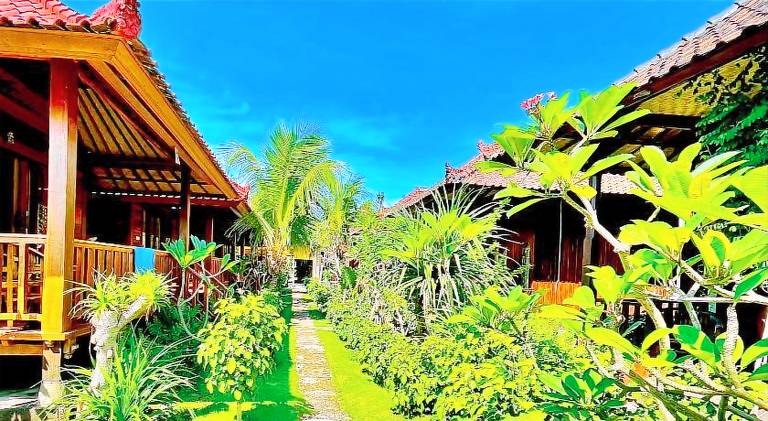 Lembongan Tropical Guesthouse — photo 5