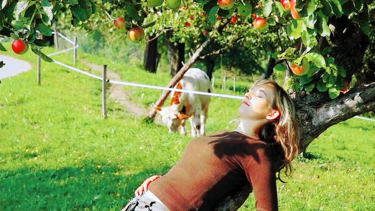 Ferienwohnung Neustift