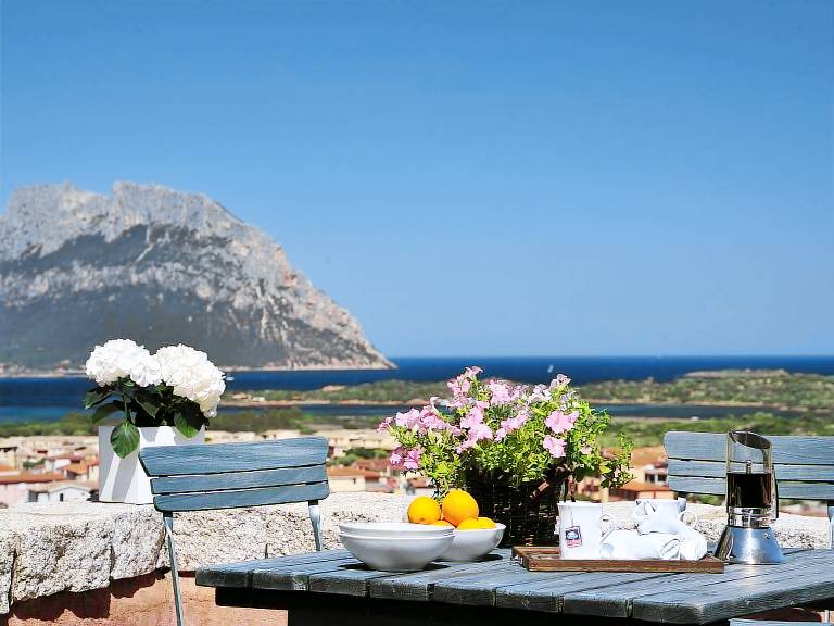 Holiday apartment | Pets are welcome in Loiri Porto San Paolo