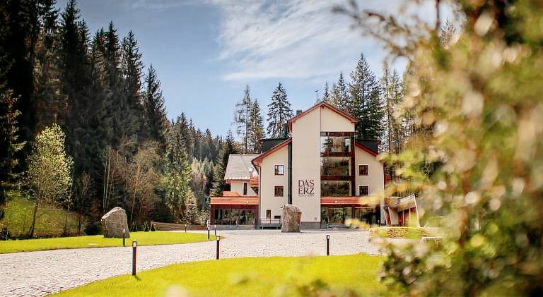 DAS ERZ Medical Spa & Hotel