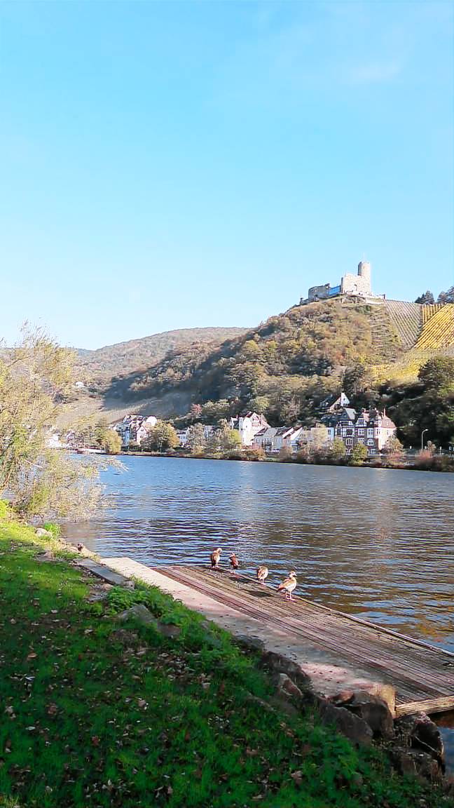 foto13