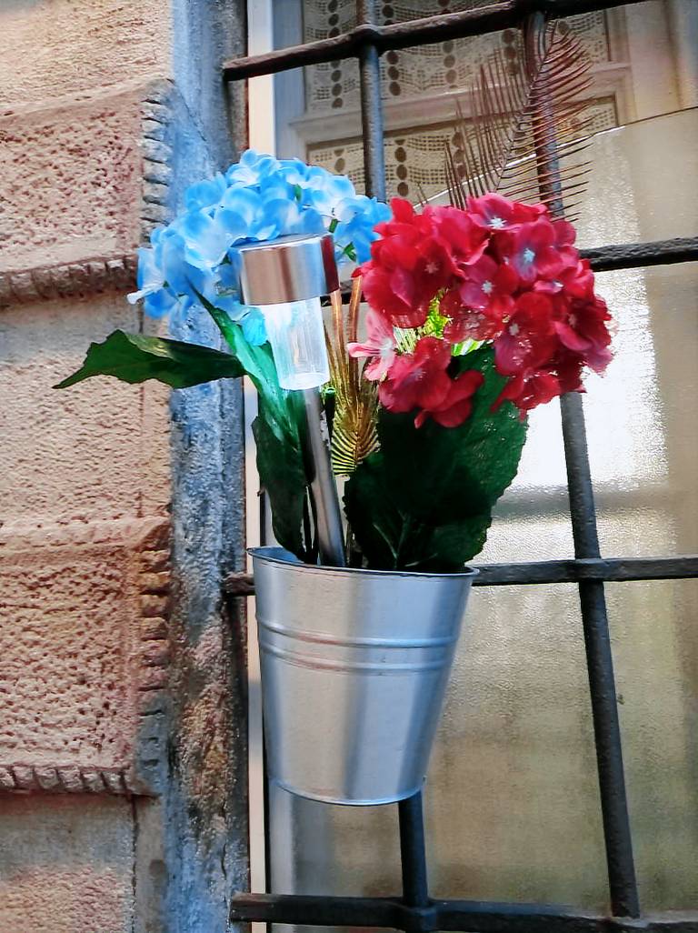 foto1