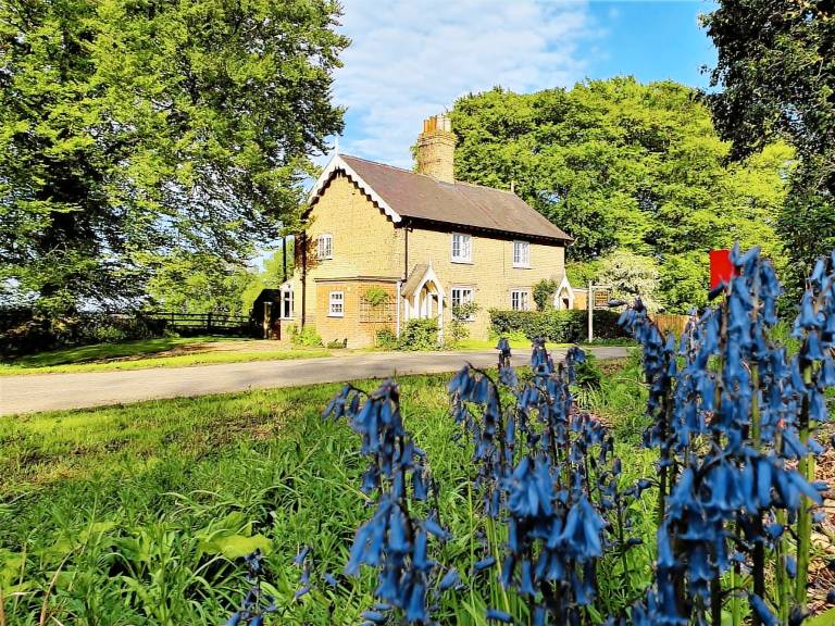 Fully equipped charming cottage with garden | Pet-friendly in Alford