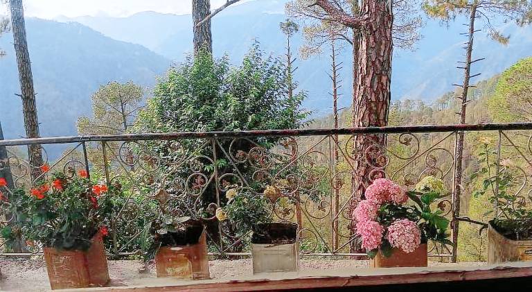 Bhandari Cottages — photo 5