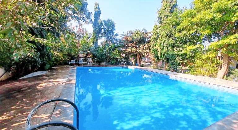 Green Park Resort — photo 2