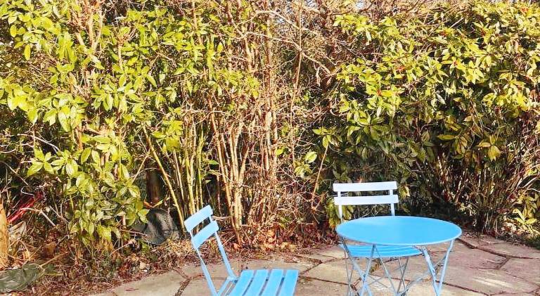 Nice rental apartment | Dogs allowed — photo 5