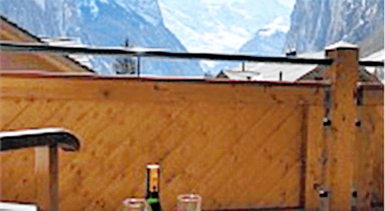 Apartment | Pets are welcome in Wilderswil