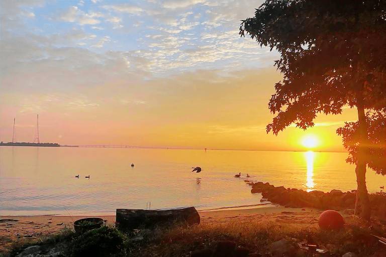 Cottage  Annapolis