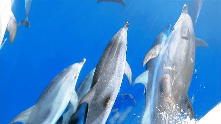 Ferienwohnung Baška