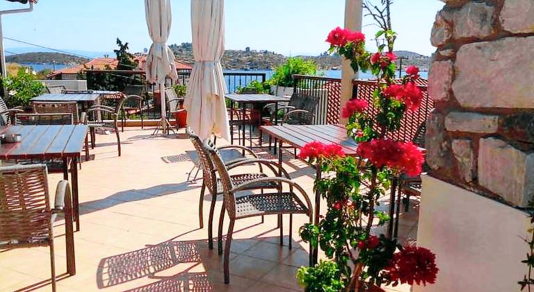 Beautiful apartment with patio, barbecue & yard | Next to the beach | Pets allowed — photo 5