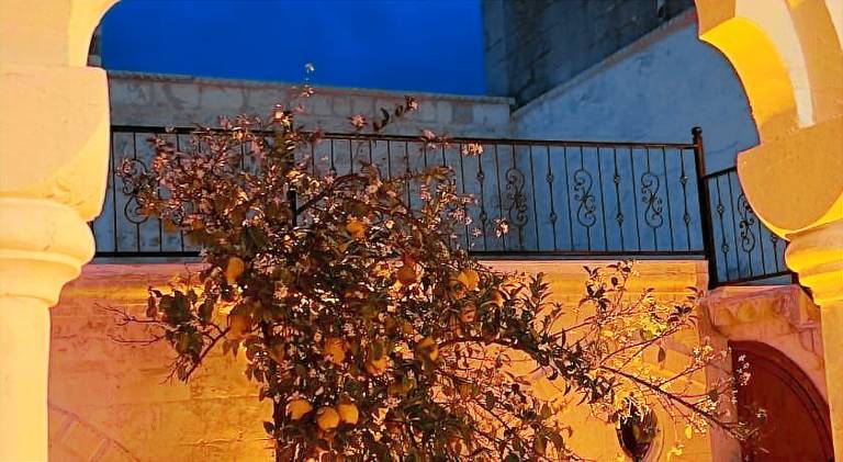 Mihrumah Konagı — photo 4