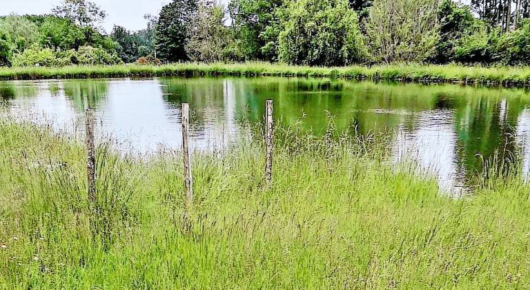 La Graule Farmhouse Self Contained Appartment in Marmande