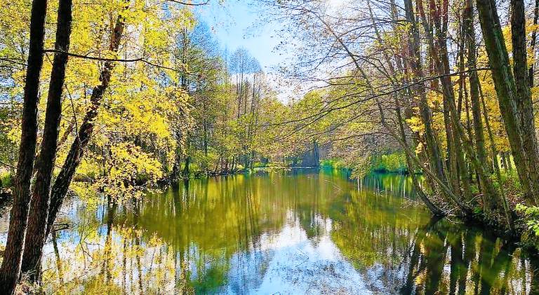 Kurort Ostrów Wielkopolski