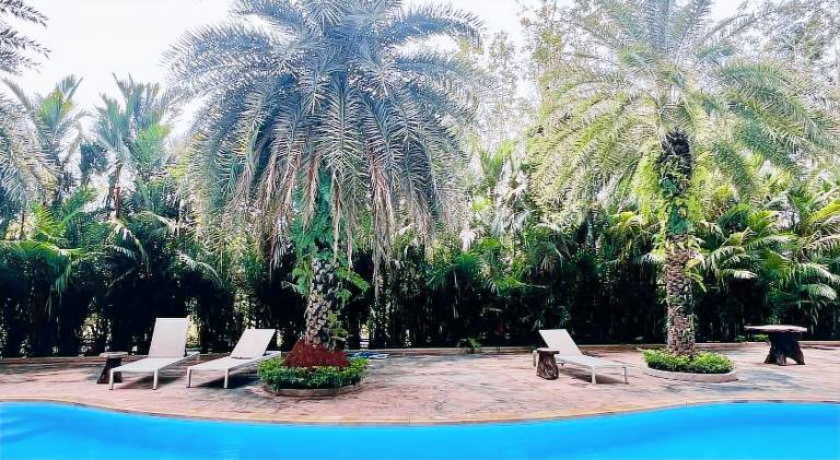 Apartment with pool | Pet-friendly — photo 2