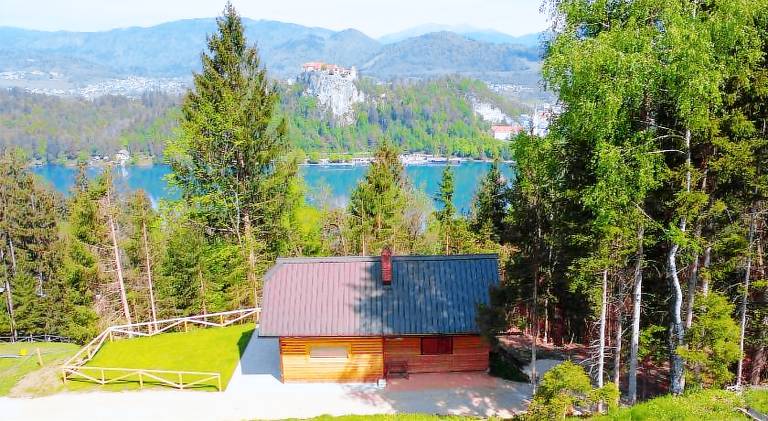 Pleasant holiday apartment | Dogs allowed in Bled