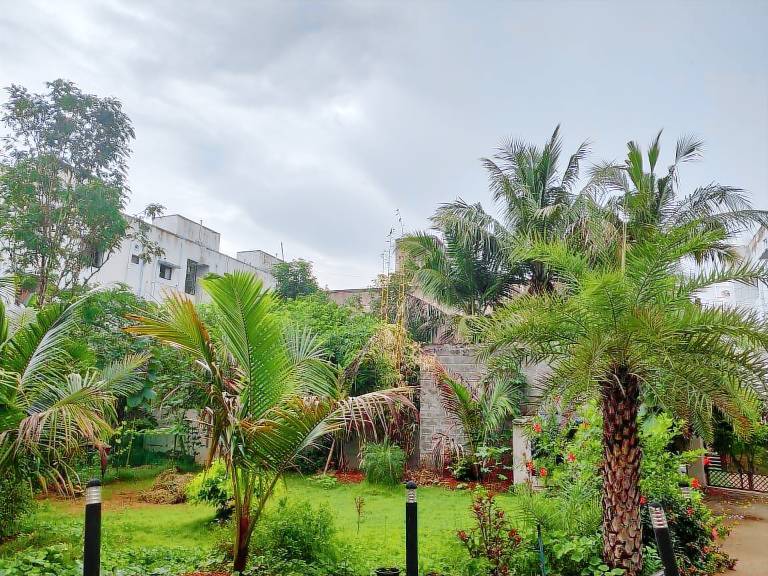 House Kattankulathur