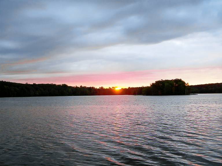 Cabin Hayward