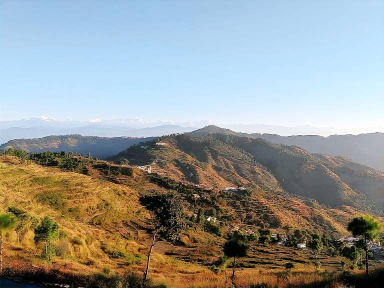 BSR Farms Homestay