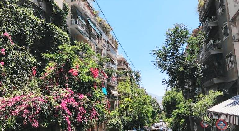 Rental apartment | Near Syntagma Square | Good for workation | Dogs allowed — photo 5