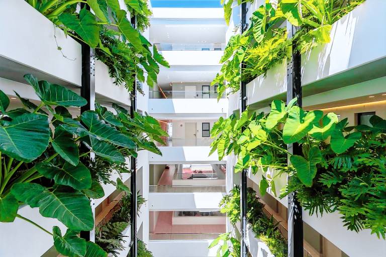 Appartement  Seepunt