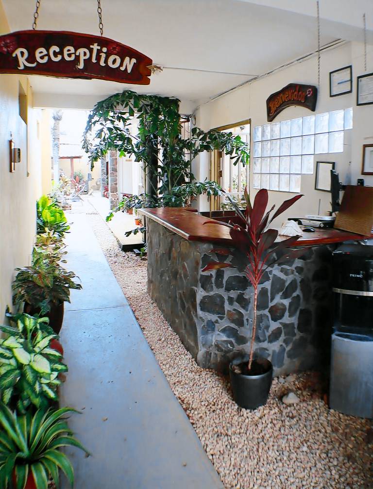 Coconut Beach House — photo 2