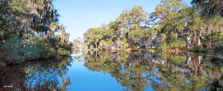Condo Edisto Beach