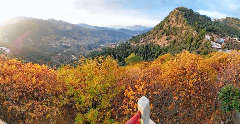 Trishul Orchard Resort — photo 4