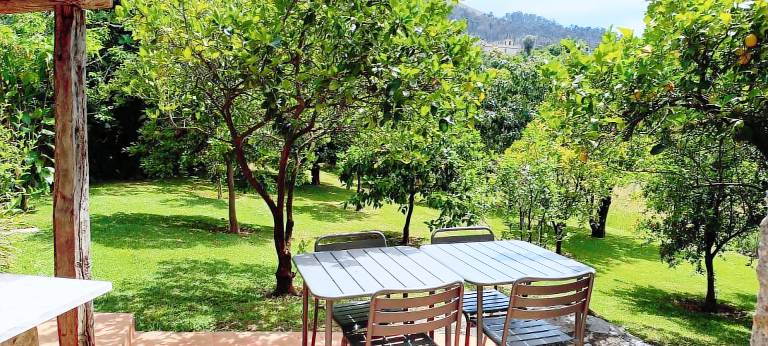 Child-friendly cottage with terrace, barbeque & private pool | Pets are welcome — photo 5