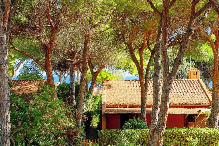 Fully equipped rental apartment with patio | Garden view | Beach nearby | Perfect for remote work | Pets allowed — photo 2