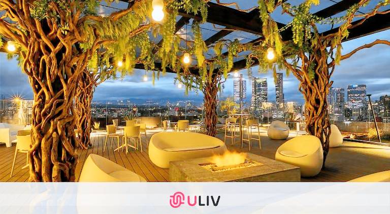 Beautiful serviced apartment with terrace | Pet-friendly in Mexico City