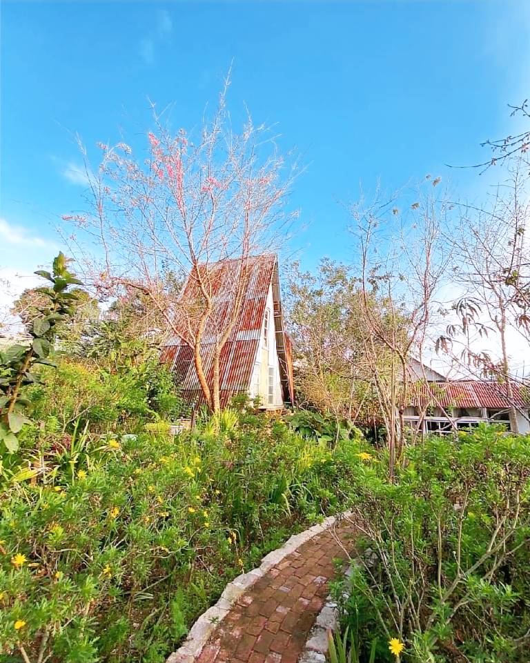Tre House Dalat, the small forest in the city. in Da Lat
