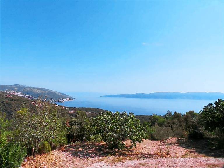 foto1