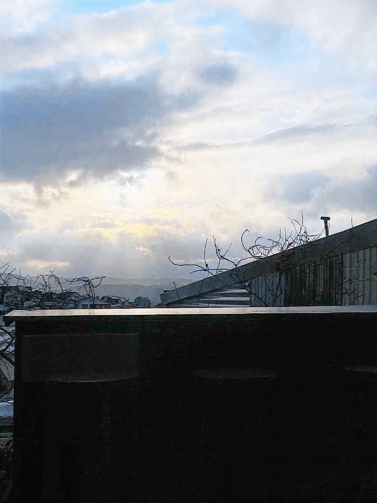 DJardin — photo 5