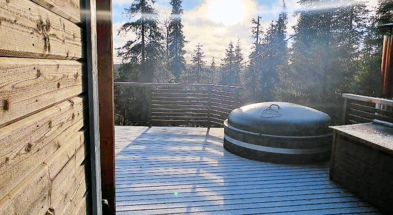 House with sauna — photo 3