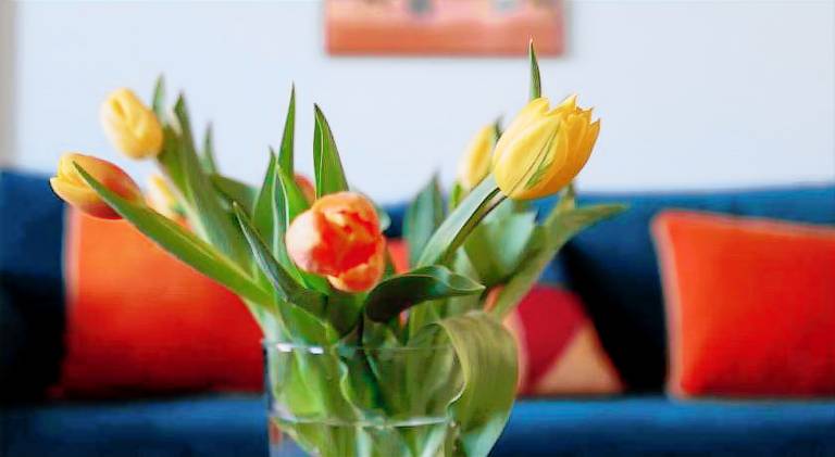 Holiday apartment with 1 room for 4 persons — photo 3