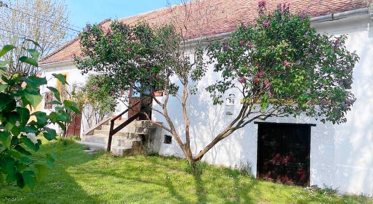 Vacation home with 2 rooms for 7 persons — photo 3