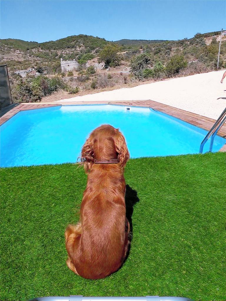 Villa Gras