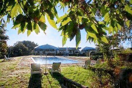 Farm with yard, terrace & private pool | Pets allowed in Sovicille