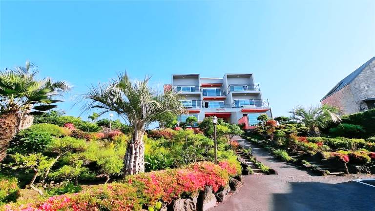 Jeju Oasis Recreation Pension in Seogwipo