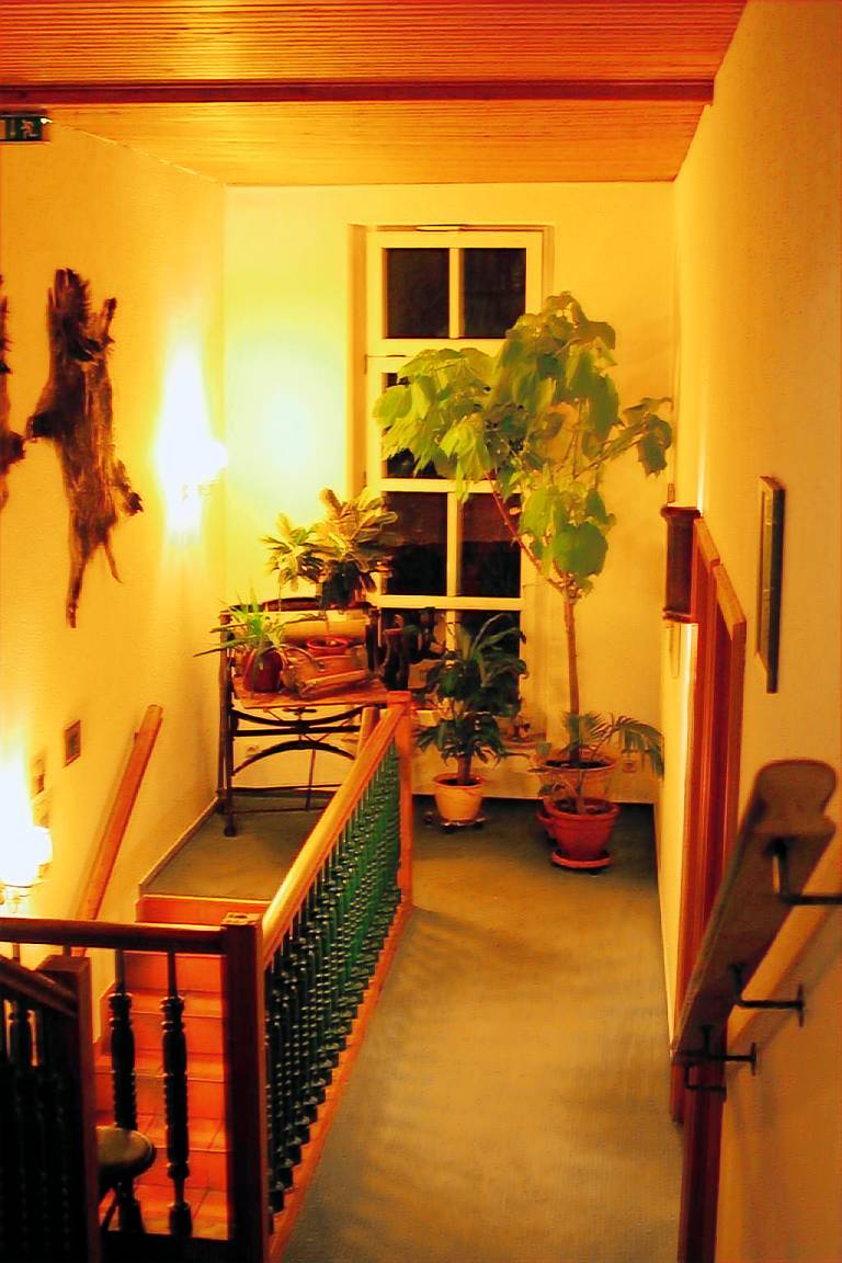 foto2