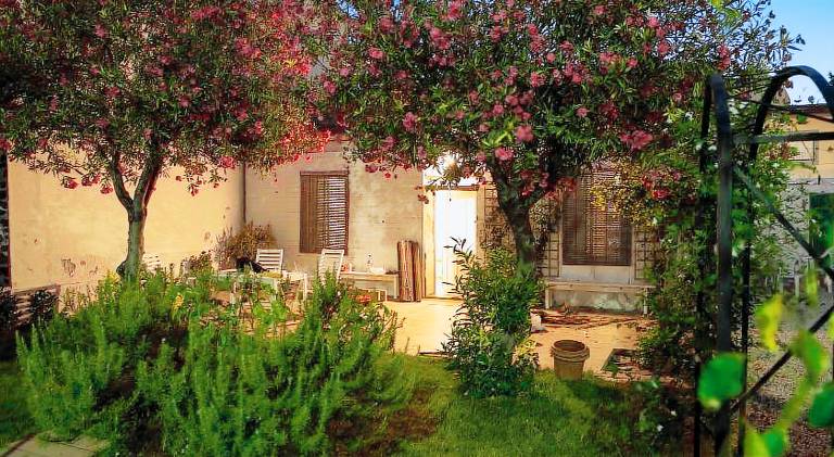 Beautiful holiday apartment | Close to the beach | Dogs allowed — photo 4