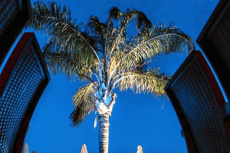Colonides Beach Hotel