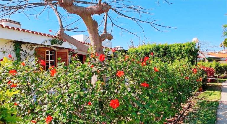 Villa with pool | Dogs allowed in San Bartolomé de Tirajana