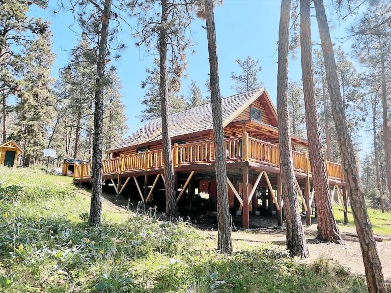 Cabin Big Arm